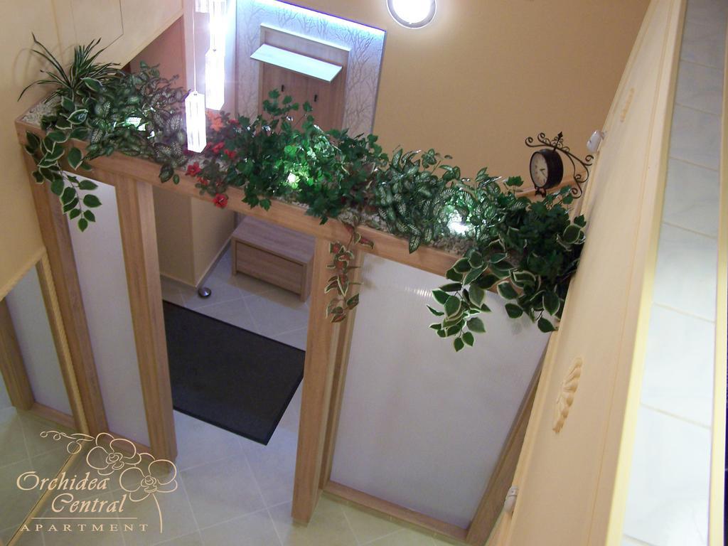 Orchidea Central Apartment Budapest Esterno foto